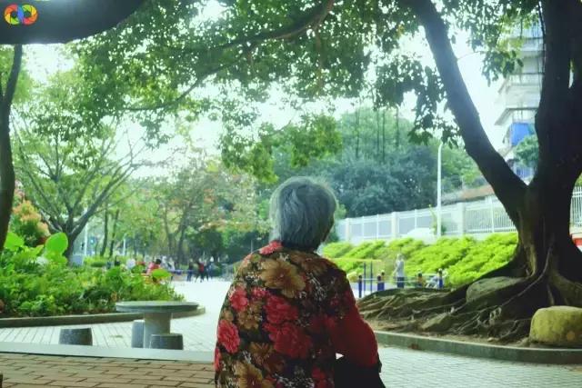 从平安路到桃园路的旧街，独属于老香洲的记忆