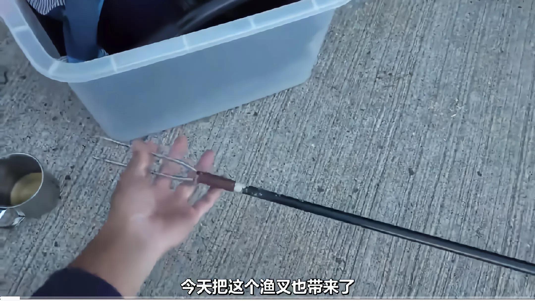 钓不到鱼正确的理解方式,钓不到鱼该怎么说