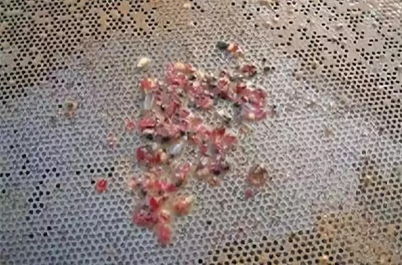 5年价格翻5倍！红宝石实力演绎什么叫做彩宝之王