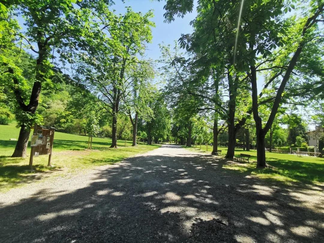 我的留学故事第1集,我的留学故事视频