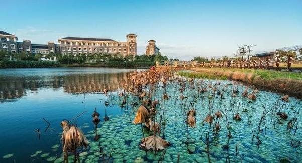 上海就业率最好的二本大学,上海最值得上的二本大学