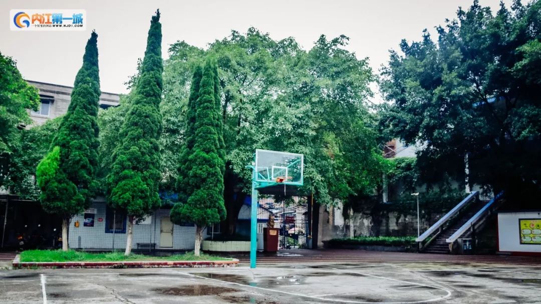 如果你是金牛座,如果你是金牛座还能改变吗