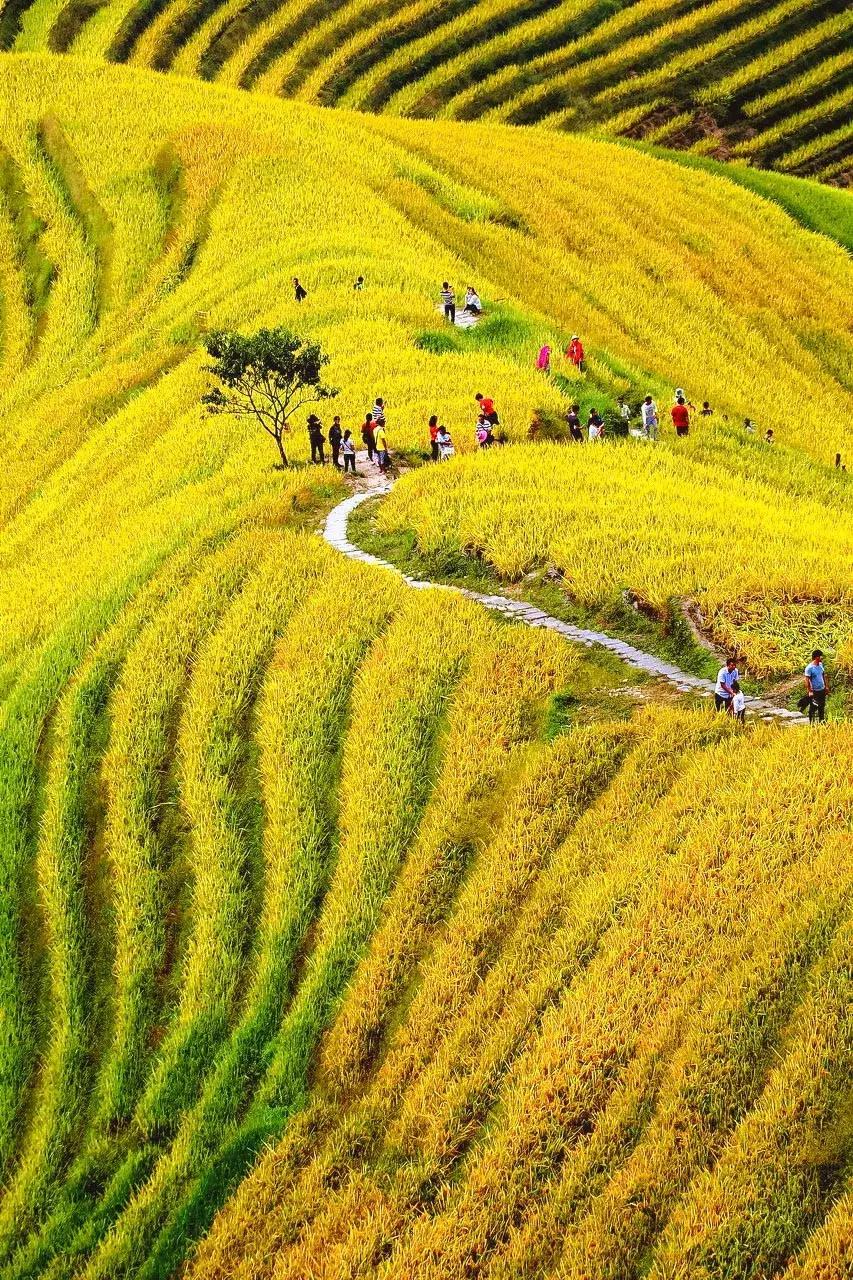 这辈子没看过这里，上帝都会觉得可惜！随手拍都是一幅画