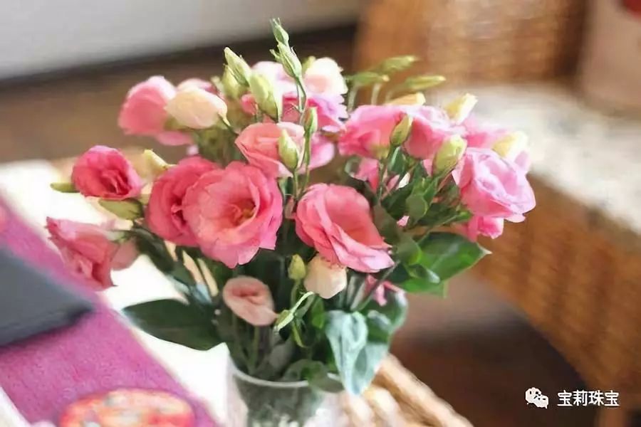 淡紫色洋桔梗怎么养,绿植洋桔梗的养护