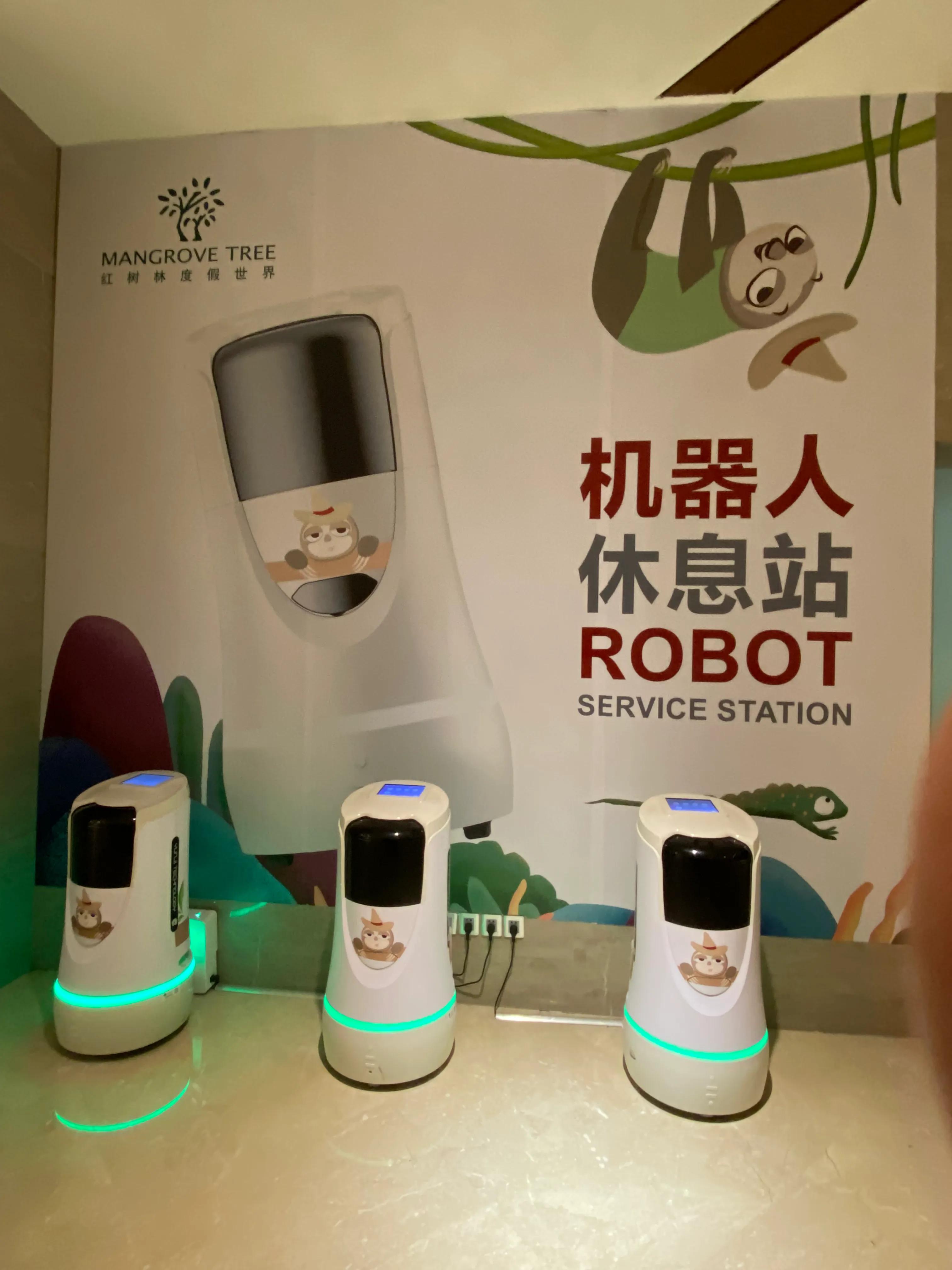 三亚红树林大王棕酒店免税店怎样,三亚湾红树林椰林酒店预订