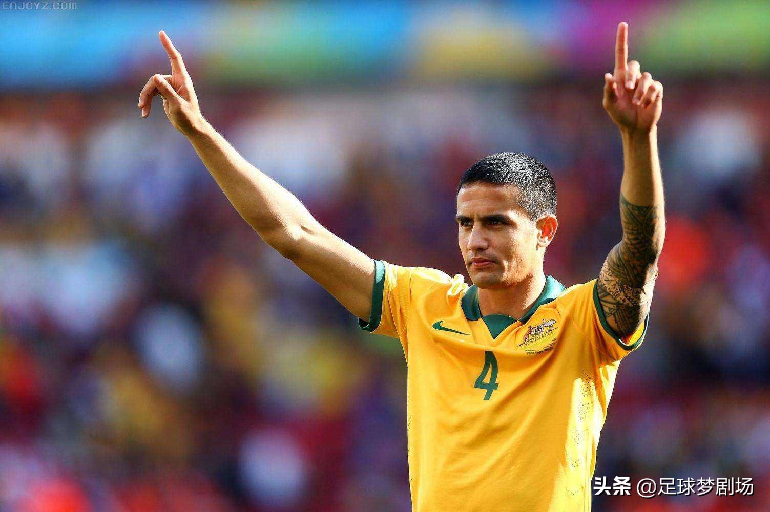 曾经在亚洲联赛活跃的八位澳大利亚国脚