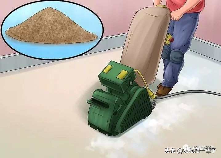 狗狗8个月还是乱拉乱尿怎么办,狗狗出了围栏就乱尿咋回事