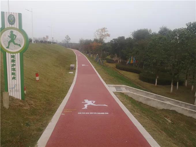 藏不住了这片樱花林免门票免预约,藏不住的傅先生