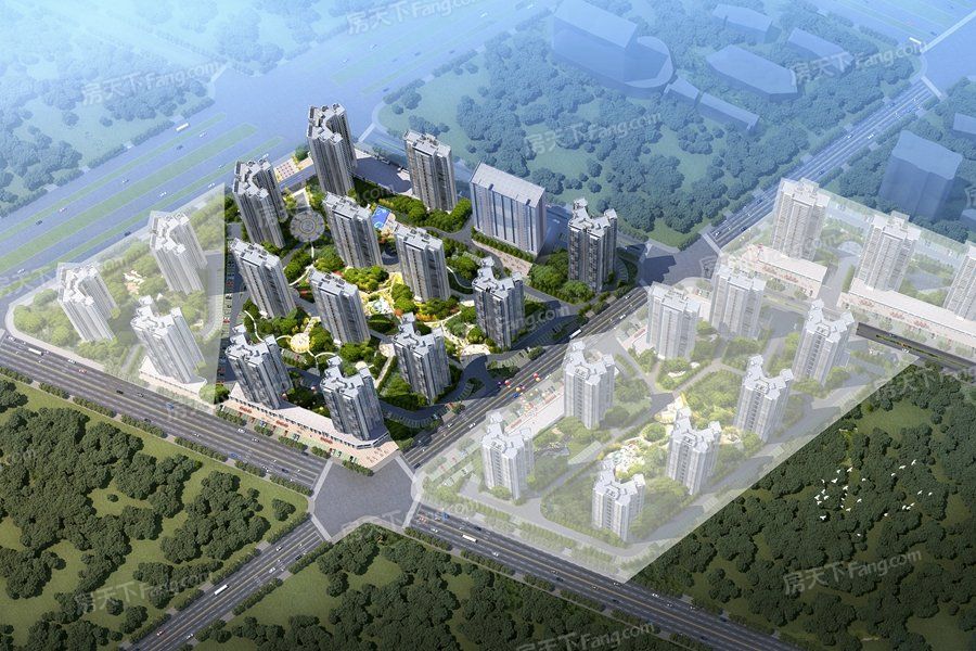 北海候鸟最多的地方,广西北海候鸟过冬最近新视频