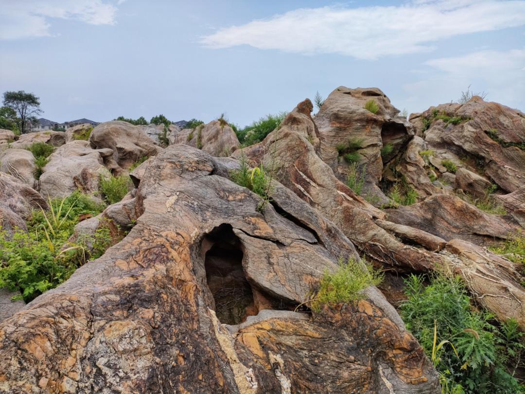 大连金石园奇石名称,大连市金石园