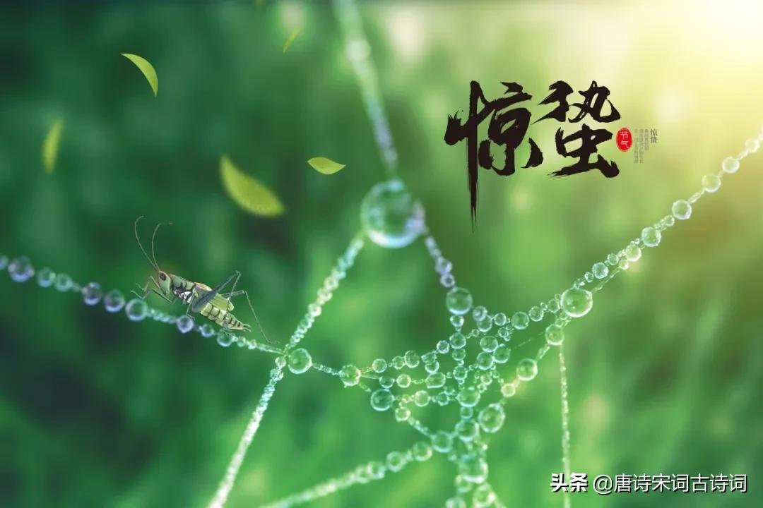 12首惊蛰诗词：惊雷一声，万物春回