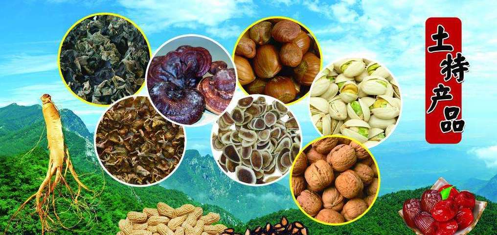 旅行小套路看看你入过几个坑 (人在旅途这些事项要注意)