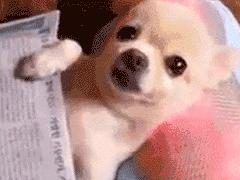 广州有哪些好的足浴按摩,广州哪里有按摩推拿的地方