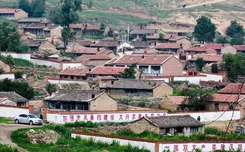 养鹅看家护院什么品种好,打工赚不到钱回家养鸡