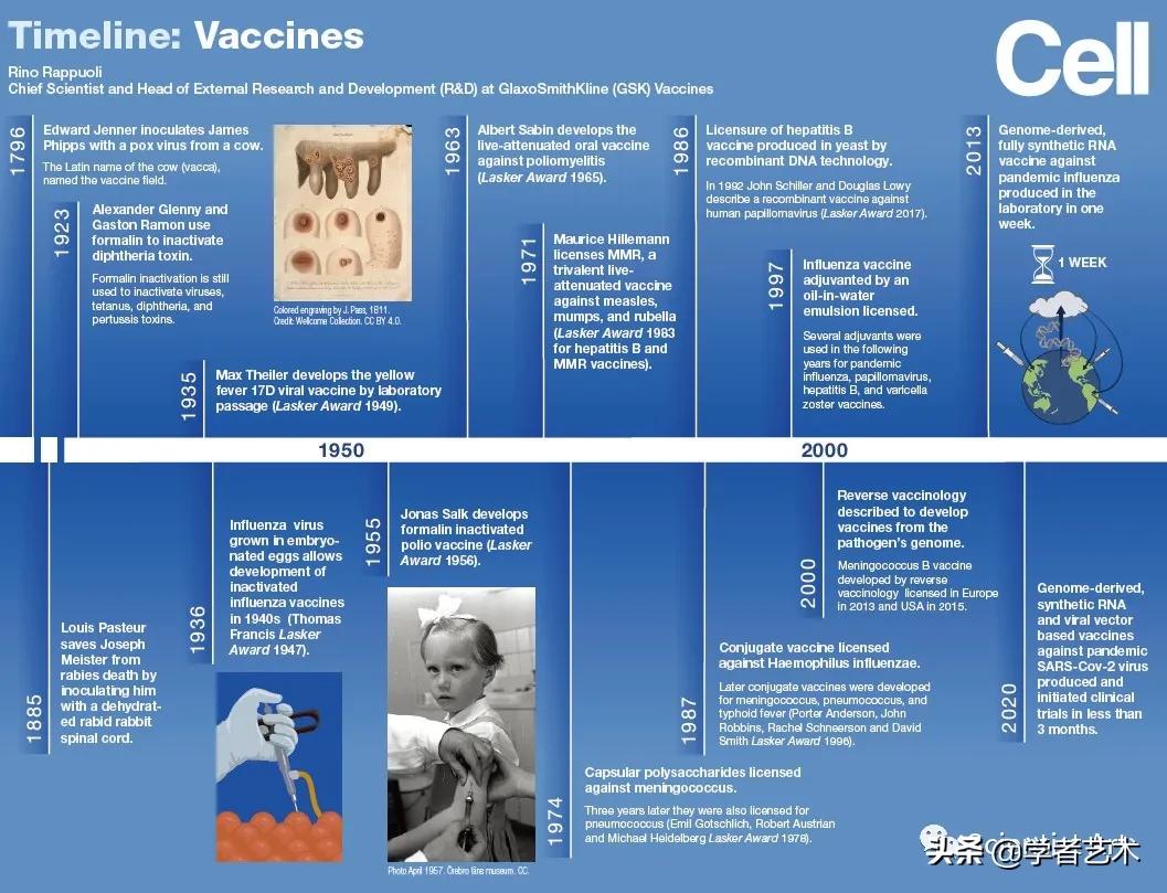 Cell重磅综述：疫苗为什么可以有用及它是怎样工作的？