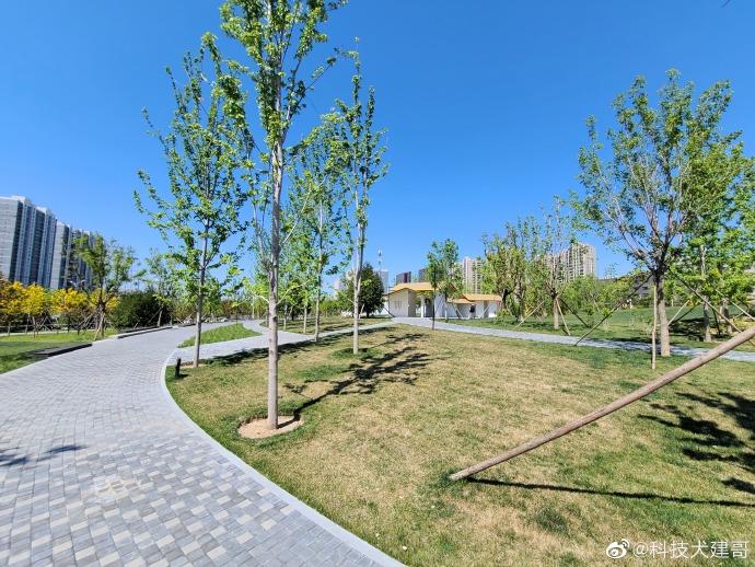 魅族17pro和三星note10+,三星s20和魅族17pro哪个好