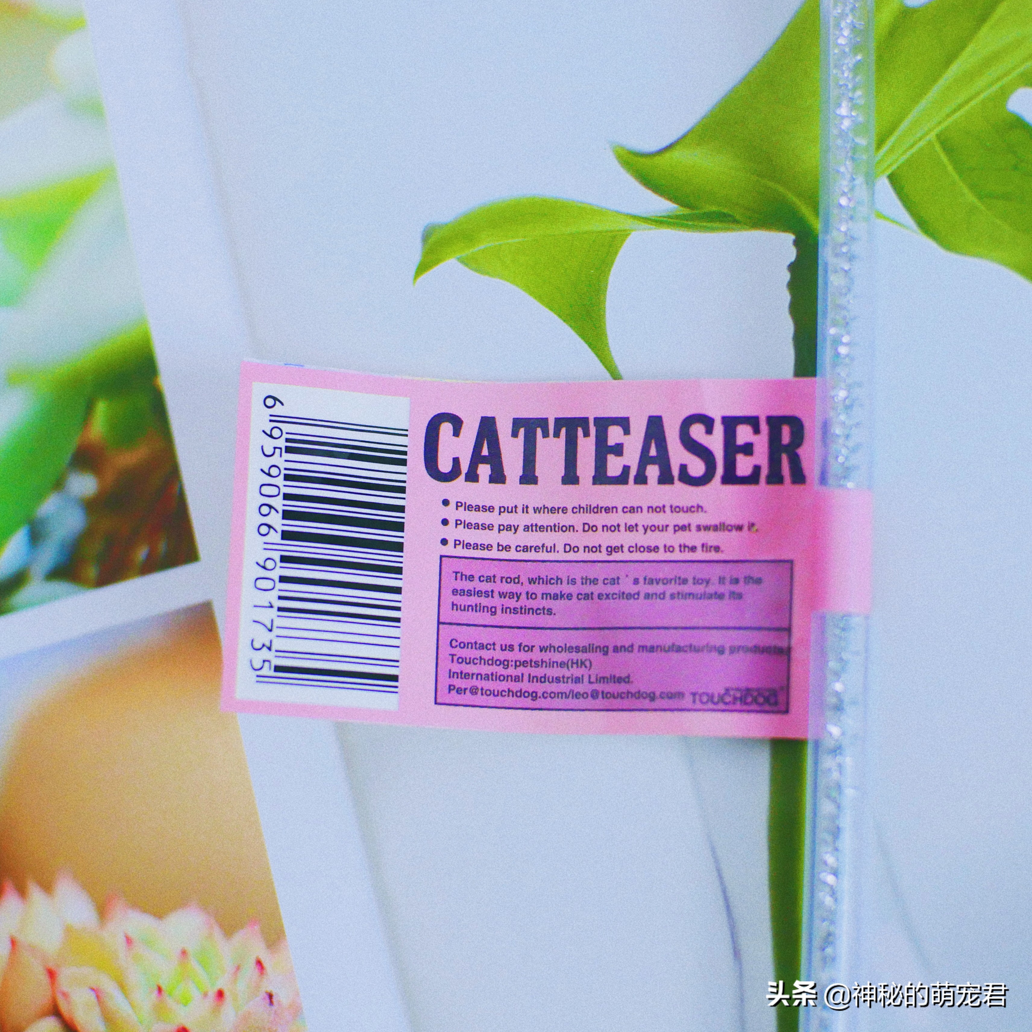 什么逗猫棒猫咪会玩,怎么做猫咪玩的逗猫棒