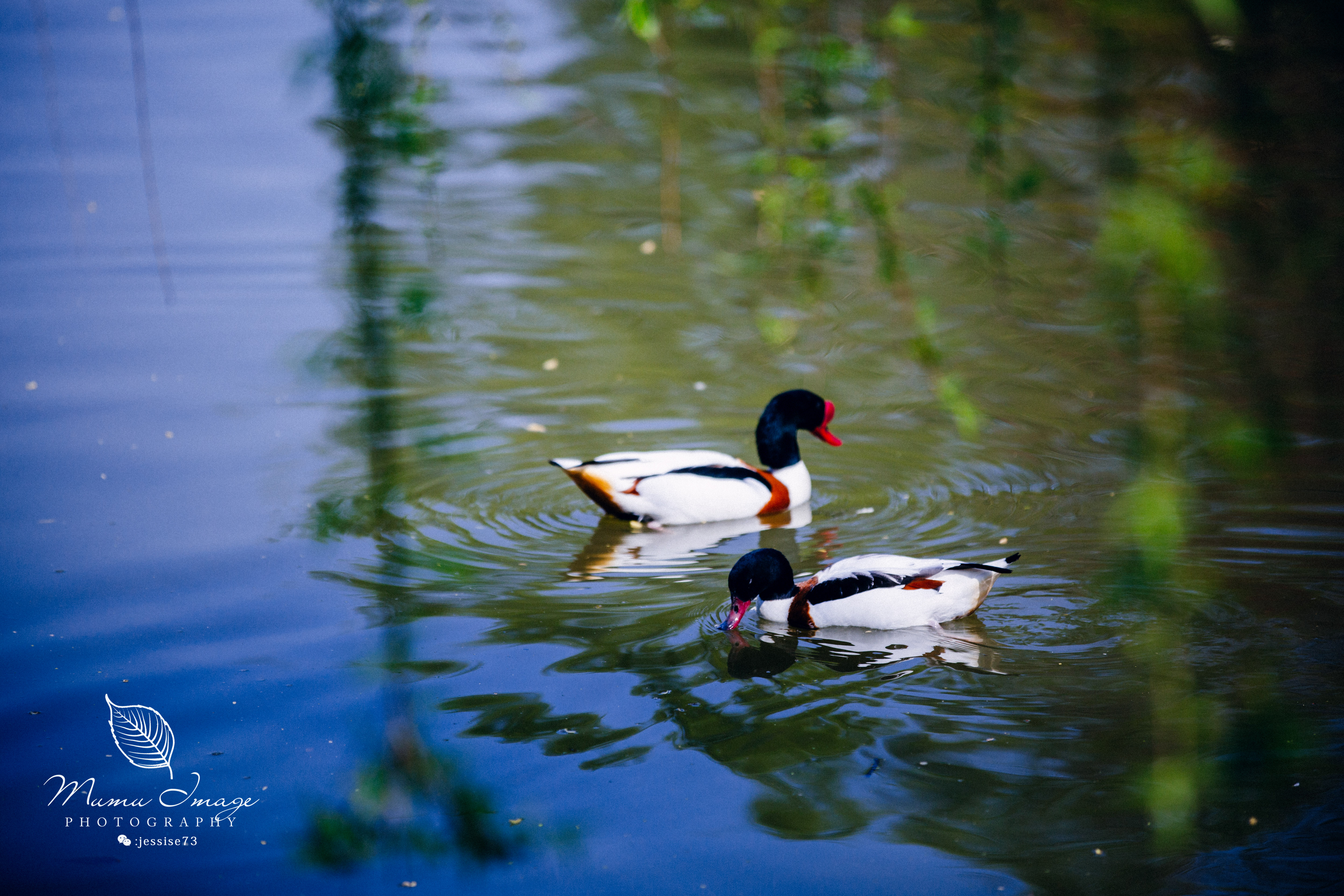 扬州是个不花钱的公园,扬州本地人最喜欢去的公园