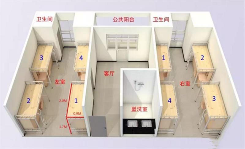 z涓栦唬鍏ヨ亴娲诲姩,z涓栦唬鍏ヨ亴