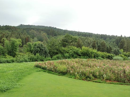 曲靖金麟湾温泉度假酒店怎么样,曲靖金麟湾温泉酒店怎么样
