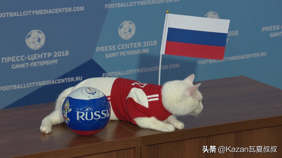 俄罗斯世界杯猫,俄罗斯最霸气的猫咪