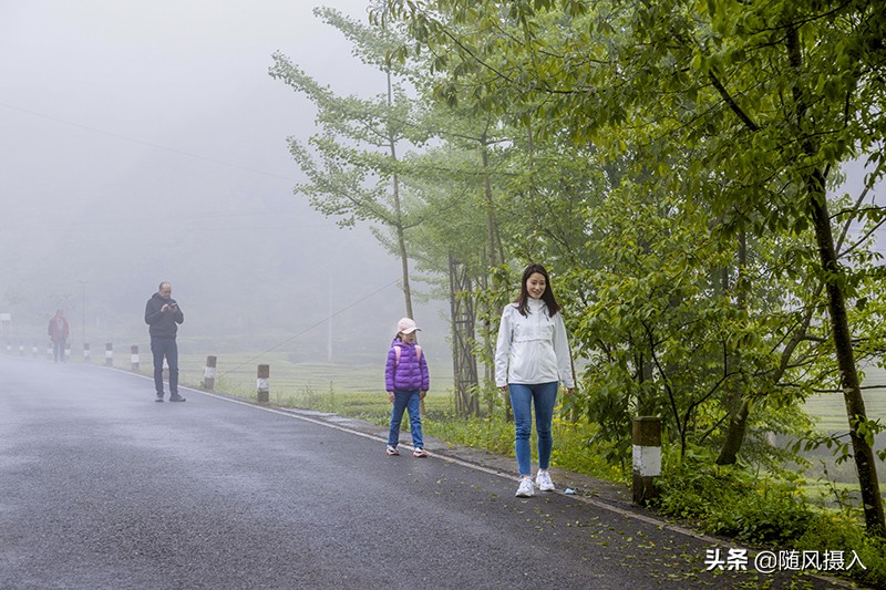 自驾旅记,自驾游柴埠溪大峡谷游记