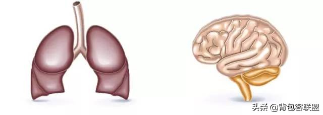 高反的症状以及应对措施,户外地面高怎么处理