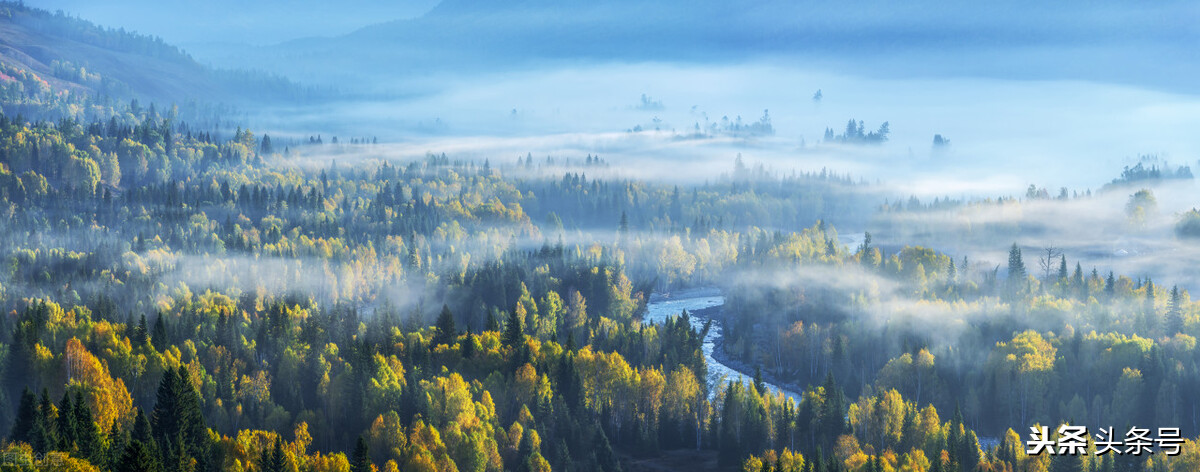 慢性肠炎反复发作用什么中成药,慢性胃肠炎吃什么中成药好