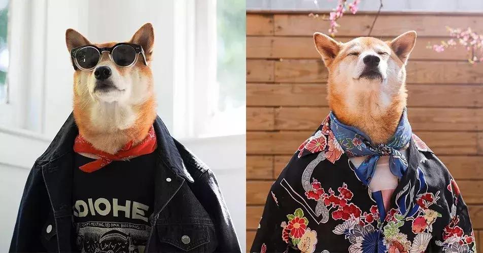 gucci和supreme联名马丁靴,guccisupreme鞋子