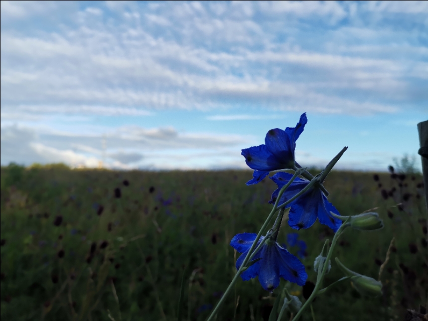玩摩托车是怎样入坑的,摩托车入坑技巧视频
