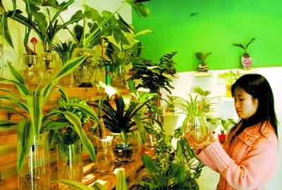 适合宝妈做的小本创业计划,适合女性的小本创业宝妈