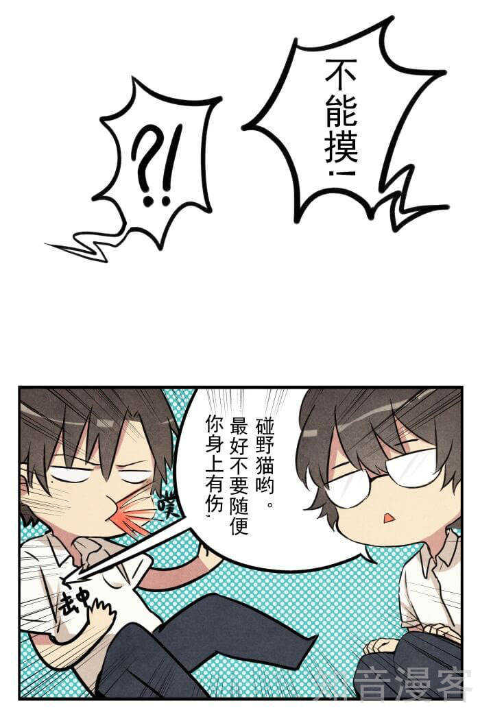 猫和铲屎官的日常生活漫画,猫和铲屎官的日常漫画