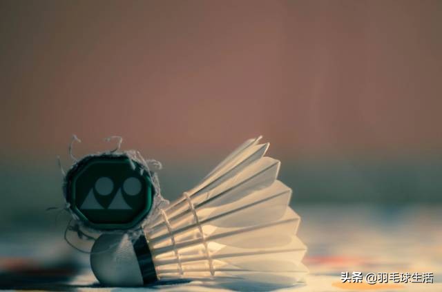 有道理！谁又不是一边受伤，一边坚持打羽毛球呢？