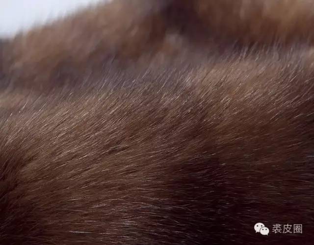 永恒的经典衣服款式,永恒的皮衣