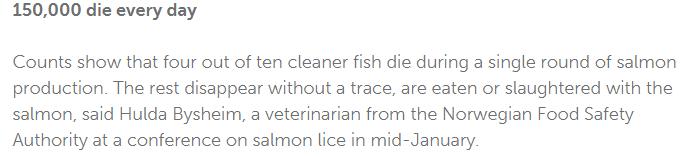 挪威三文鱼和北欧大西洋鲑鱼,德国鲑鱼和挪威三文鱼