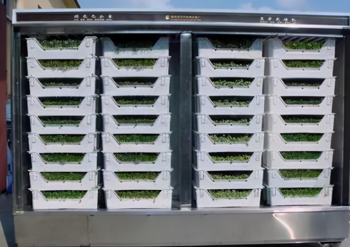 沂蒙残疾人发明豆芽机,民间牛人发明豆芽机400斤