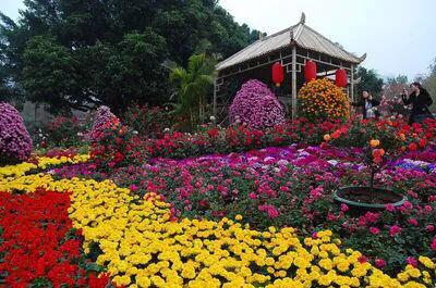 深圳花海公园推荐景点有哪些,深圳花海公园地址在哪里