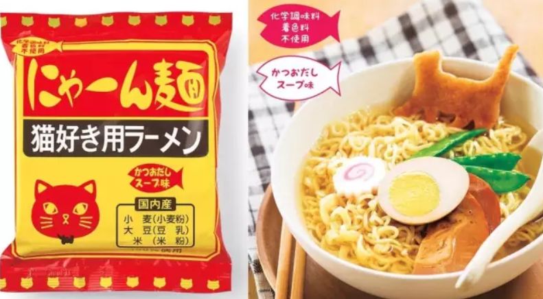 360度“云吸猫”?日本这家猫咪商店简直爱了