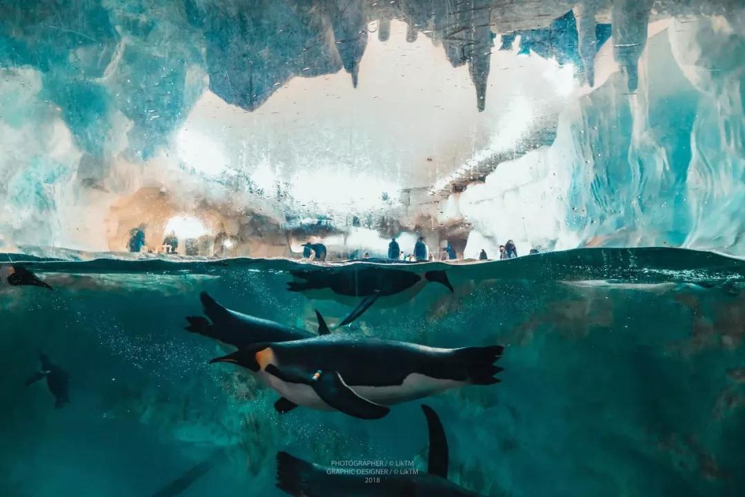 北京冬天亲子旅游攻略,8个国内亲子游旅行地推荐