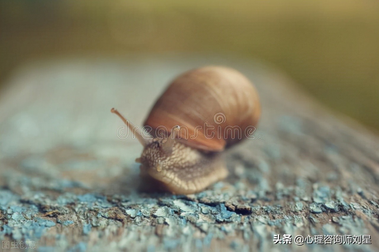 被失眠折磨的一夜,早醒多梦失眠怎么办