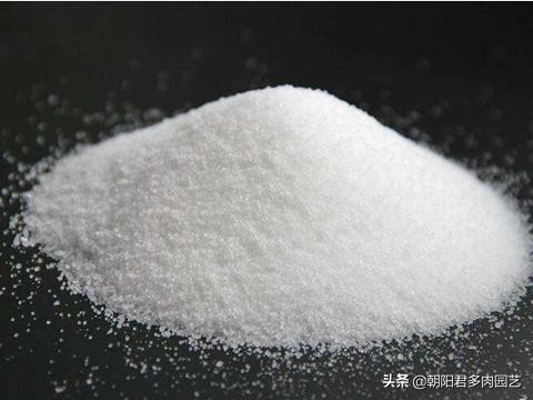 铜钱草不见阳光枯黄了怎么补救,铜钱草蔫了浇水也不吸收怎么办