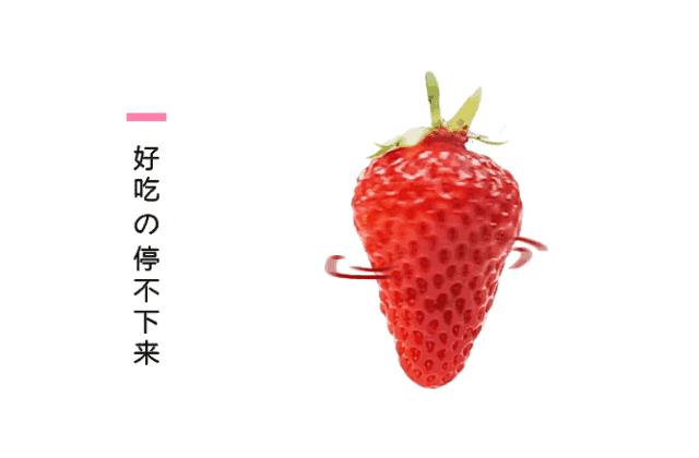 与永丰乐城相约一场“莓”好时光之旅