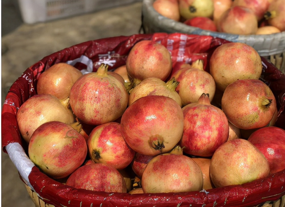 国内畅销的进口水果,最近很火的进口水果