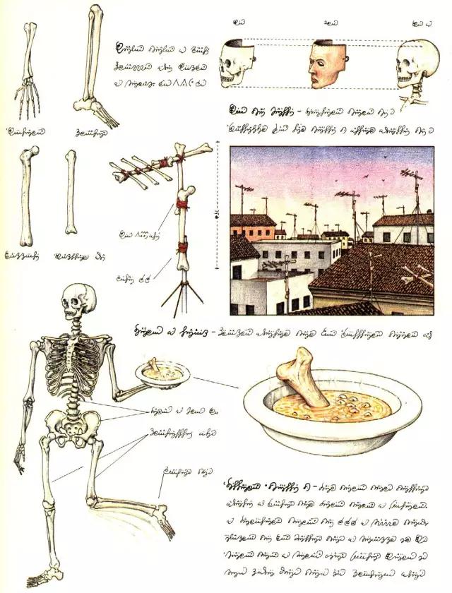 这本天马行空的百科全书有400多页，我却一个字都看不懂