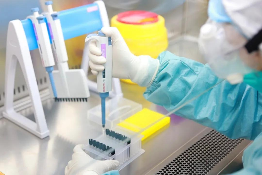 探访核酸检测实验室,中国科学院深圳医院核酸检测时间