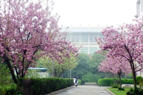洛阳有几所河南省示范高中,洛阳教学质量最好的高中排名