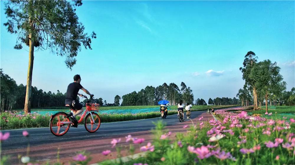 在双流,在双流没钱去哪里玩