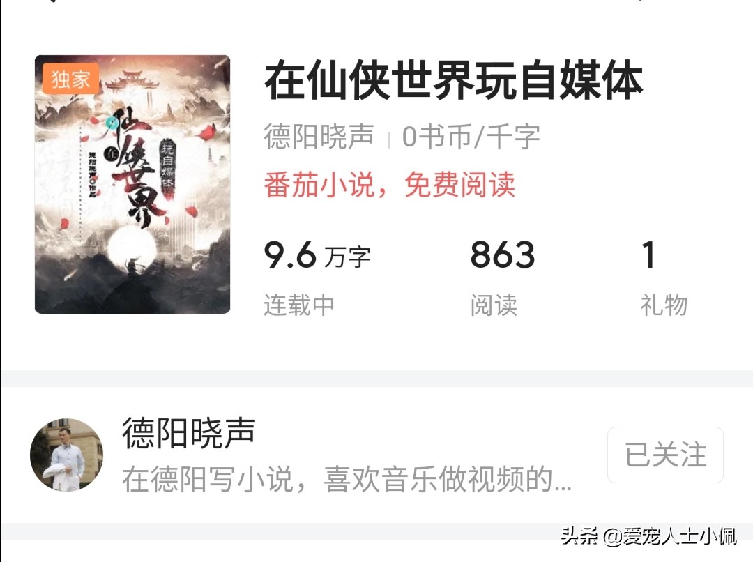 爱宠人士小佩是怎么回事,爱宠人士小佩