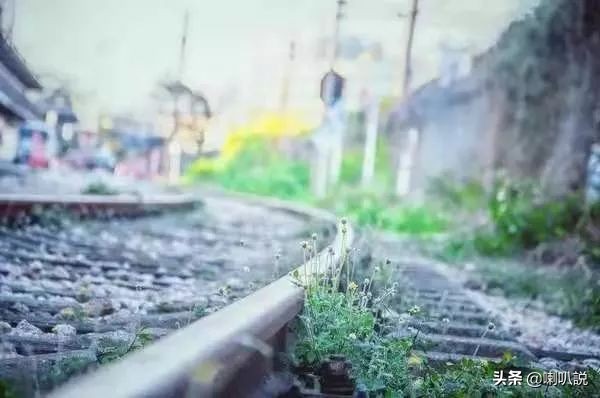 深圳大鹏自驾游十大免费景点推荐,深圳十大免费景点有哪些