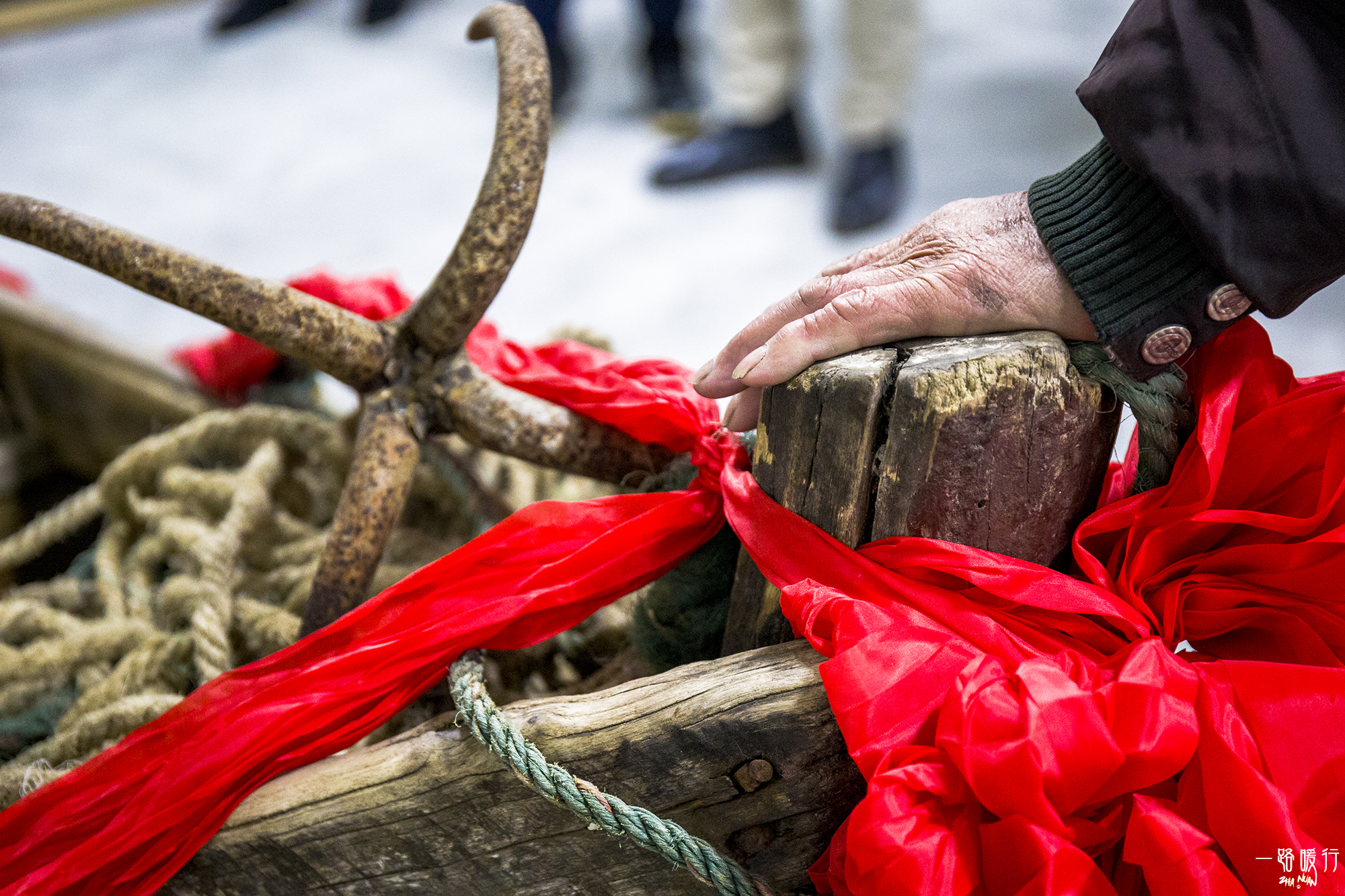 野生牡蛎王,海边野生牡蛎